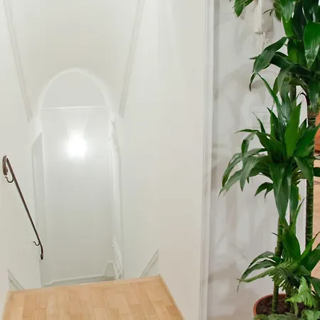 Apartment In Center